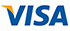Visa Logo